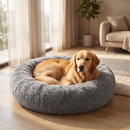 The Hug Bed