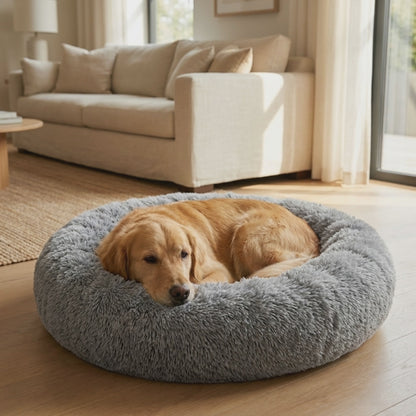 The Hug Bed