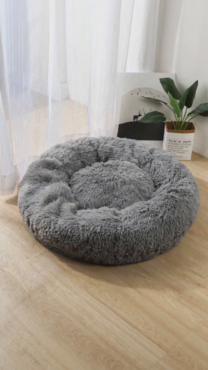 The Hug Bed